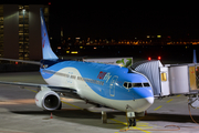 TUIfly Boeing 737-8K5 (D-ATUR) at  Hannover - Langenhagen, Germany