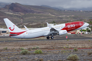 TUIfly Boeing 737-8K5 (D-ATUZ) at  Tenerife Sur - Reina Sofia, Spain