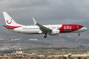 TUIfly Boeing 737-8K5 (D-ATUZ) at  Tenerife Sur - Reina Sofia, Spain