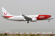 TUIfly Boeing 737-8K5 (D-ATUZ) at  Tenerife Sur - Reina Sofia, Spain