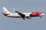 TUIfly Boeing 737-8K5 (D-ATUZ) at  Tenerife Sur - Reina Sofia, Spain