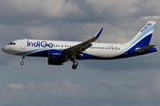 IndiGo Airbus A320-271N (D-AUAC) at  Hamburg - Finkenwerder, Germany