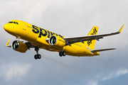 Spirit Airlines Airbus A320-271N (D-AUAJ) at  Hamburg - Fuhlsbuettel (Helmut Schmidt), Germany