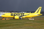 Spirit Airlines Airbus A320-271N (D-AUAQ) at  Hamburg - Finkenwerder, Germany