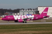 WOW Air Airbus A320-251N (D-AUBC) at  Hamburg - Finkenwerder, Germany