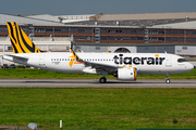 Tigerair Taiwan Airbus A320-271N (D-AUBH) at  Hamburg - Finkenwerder, Germany