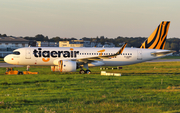 Tigerair Taiwan Airbus A320-271N (D-AUBH) at  Hamburg - Finkenwerder, Germany