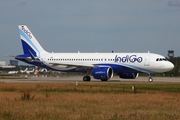 IndiGo Airbus A320-271N (D-AUBI) at  Hamburg - Finkenwerder, Germany