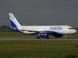 IndiGo Airbus A320-251N (D-AVVK) at  Hamburg - Finkenwerder, Germany