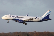 IndiGo Airbus A320-232 (D-AVVN) at  Hamburg - Fuhlsbuettel (Helmut Schmidt), Germany