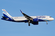 IndiGo Airbus A320-251N (D-AVVO) at  Hamburg - Fuhlsbuettel (Helmut Schmidt), Germany