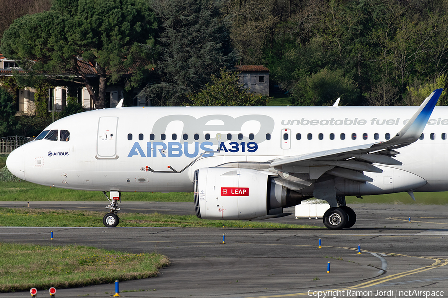 Airbus Industrie Airbus A319-171N (D-AVWA) | Photo 241336