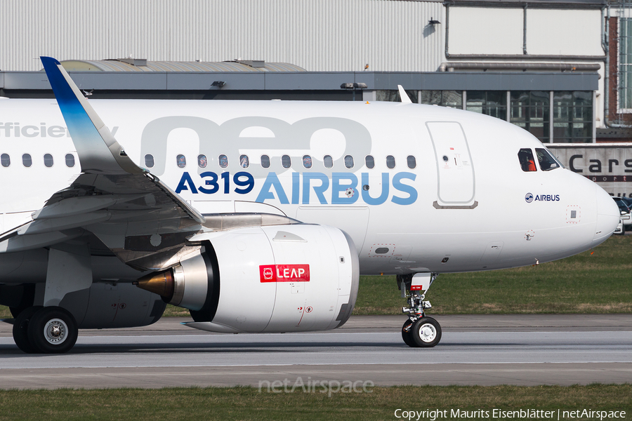 Airbus Industrie Airbus A319-171N (D-AVWA) | Photo 153031
