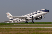 Global Jet Luxembourg Airbus A319-115X CJ (D-AVWB) at  Hamburg - Finkenwerder, Germany