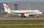 Tibet Airlines Airbus A319-115 (D-AVWD) at  Hamburg - Finkenwerder, Germany