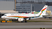 Tibet Airlines Airbus A319-115 (D-AVWD) at  Hamburg - Finkenwerder, Germany