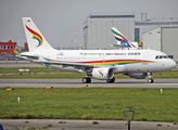 Tibet Airlines Airbus A319-115 (D-AVWE) at  Hamburg - Finkenwerder, Germany