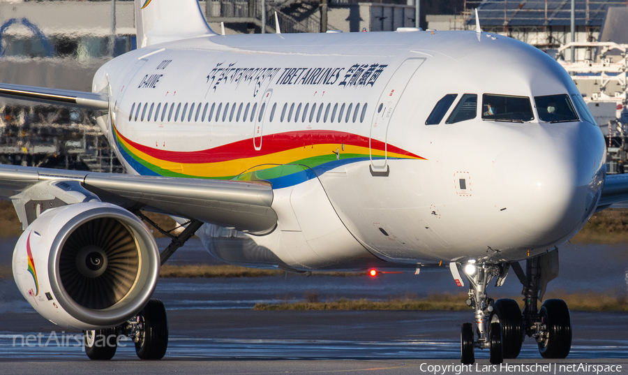 Tibet Airlines Airbus A319-115 (D-AVWE) | Photo 425794