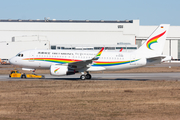 Tibet Airlines Airbus A319-115 (D-AVWE) at  Hamburg - Finkenwerder, Germany