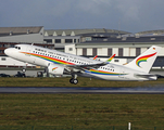 Tibet Airlines Airbus A319-115 (D-AVWF) at  Hamburg - Finkenwerder, Germany