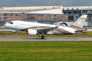(Private) Airbus A319-153N ACJ (D-AVWM) at  Hamburg - Finkenwerder, Germany