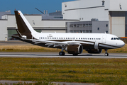 (Private) Airbus A319-153N CJ (D-AVWO) at  Hamburg - Finkenwerder, Germany