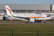 Tibet Airlines Airbus A319-153N (D-AVWP) at  Hamburg - Finkenwerder, Germany