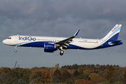 IndiGo Airbus A321-251NX (D-AVXF) at  Hamburg - Fuhlsbuettel (Helmut Schmidt), Germany