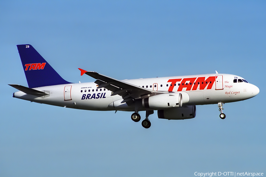TAM Brazilian Airlines Airbus A319-132 (D-AVYA) | Photo 397575