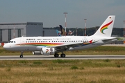 Tibet Airlines Airbus A319-115 (D-AVYH) at  Hamburg - Finkenwerder, Germany