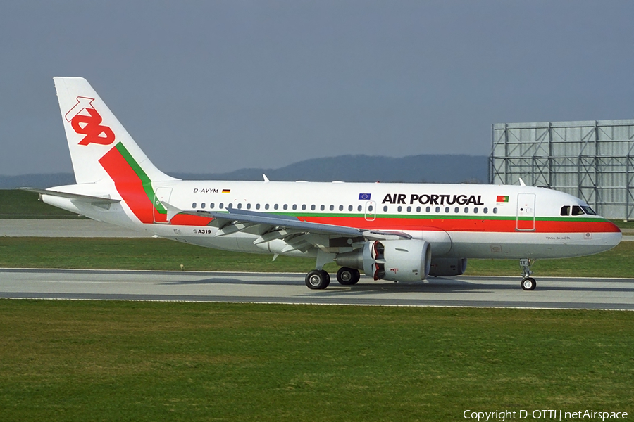 TAP Air Portugal Airbus A319-111 (D-AVYM) | Photo 385821