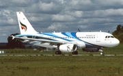 Bangkok Airways Airbus A319-132 (D-AVYN) at  Hamburg - Finkenwerder, Germany
