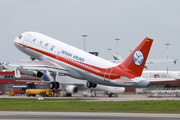 Sichuan Airlines Airbus A319-133 (D-AVYZ) at  Hamburg - Finkenwerder, Germany