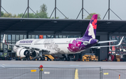 Hawaiian Airlines Airbus A321-271N (D-AVZA) at  Hamburg - Finkenwerder, Germany