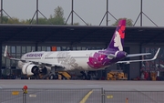 Hawaiian Airlines Airbus A321-271N (D-AVZA) at  Hamburg - Finkenwerder, Germany