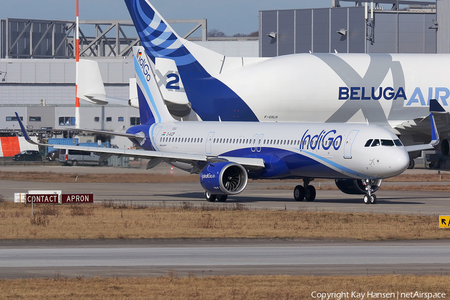 IndiGo Airbus A321-251NX (D-AVZP) | Photo 432722