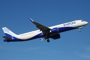 IndiGo Airbus A321-251NX (D-AVZP) at  Hamburg - Finkenwerder, Germany