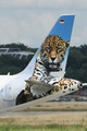 Frontier Airlines Airbus A321-211 (D-AVZQ) at  Hamburg - Finkenwerder, Germany