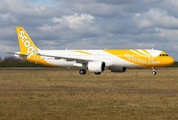 Scoot Airbus A321-271NX (D-AVZV) at  Hamburg - Finkenwerder, Germany