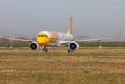 Scoot Airbus A321-271NX (D-AVZV) at  Hamburg - Finkenwerder, Germany