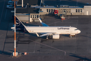 Lufthansa Airbus A320-271N (D-AXAA) at  Hamburg - Finkenwerder, Germany