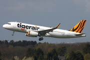 Tiger Airways Airbus A320-232 (D-AXAM) at  Hamburg - Fuhlsbuettel (Helmut Schmidt), Germany