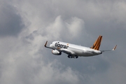 Tiger Airways Airbus A320-232 (D-AXAM) at  Hamburg - Fuhlsbuettel (Helmut Schmidt), Germany