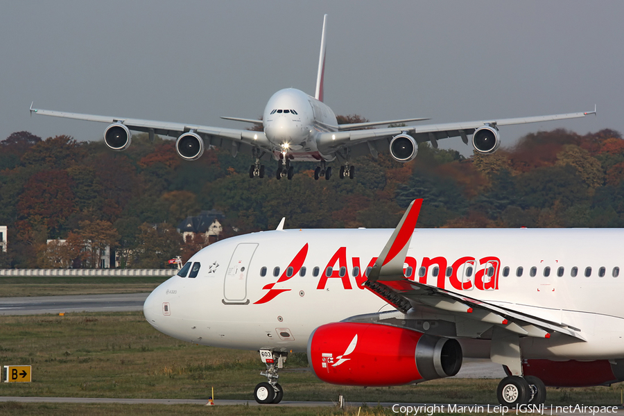 Avianca Airbus A320-233 (D-AXAS) | Photo 38361