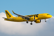Spirit Airlines Airbus A320-271N (D-AXAT) at  Hamburg - Finkenwerder, Germany