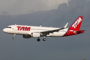 TAM Brazilian Airlines Airbus A320-214 (D-AXAT) at  Hamburg - Fuhlsbuettel (Helmut Schmidt), Germany