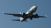 XL Airways Germany Boeing 737-8Q8 (D-AXLE) at  Dusseldorf - International, Germany