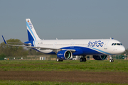 IndiGo Airbus A321-271NX (D-AYAM) at  Hamburg - Finkenwerder, Germany