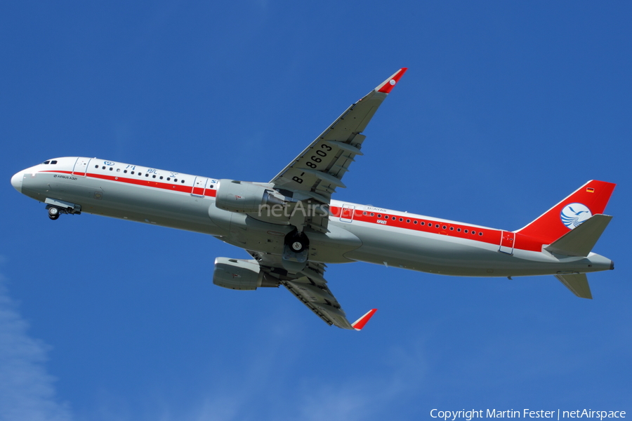 Sichuan Airlines Airbus A321-211 (D-AYAS) | Photo 120950