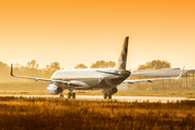 Etihad Airways Airbus A321-231 (D-AZAN) at  Hamburg - Finkenwerder, Germany